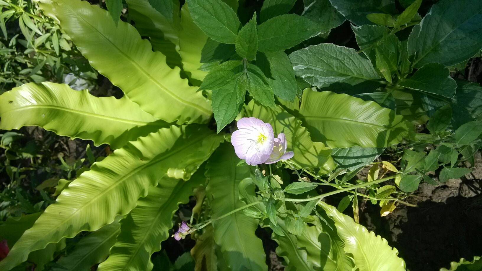 91禁动🍆🍑🔞❌❌神秘